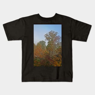 Woods in the Mist Kids T-Shirt